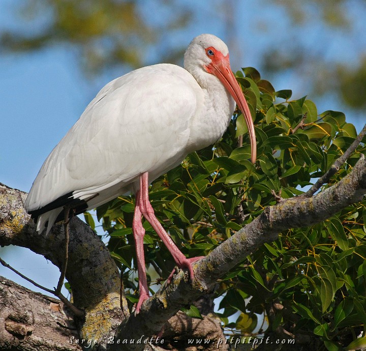 2009-01-12 14-24-12__MG_2884.JPG